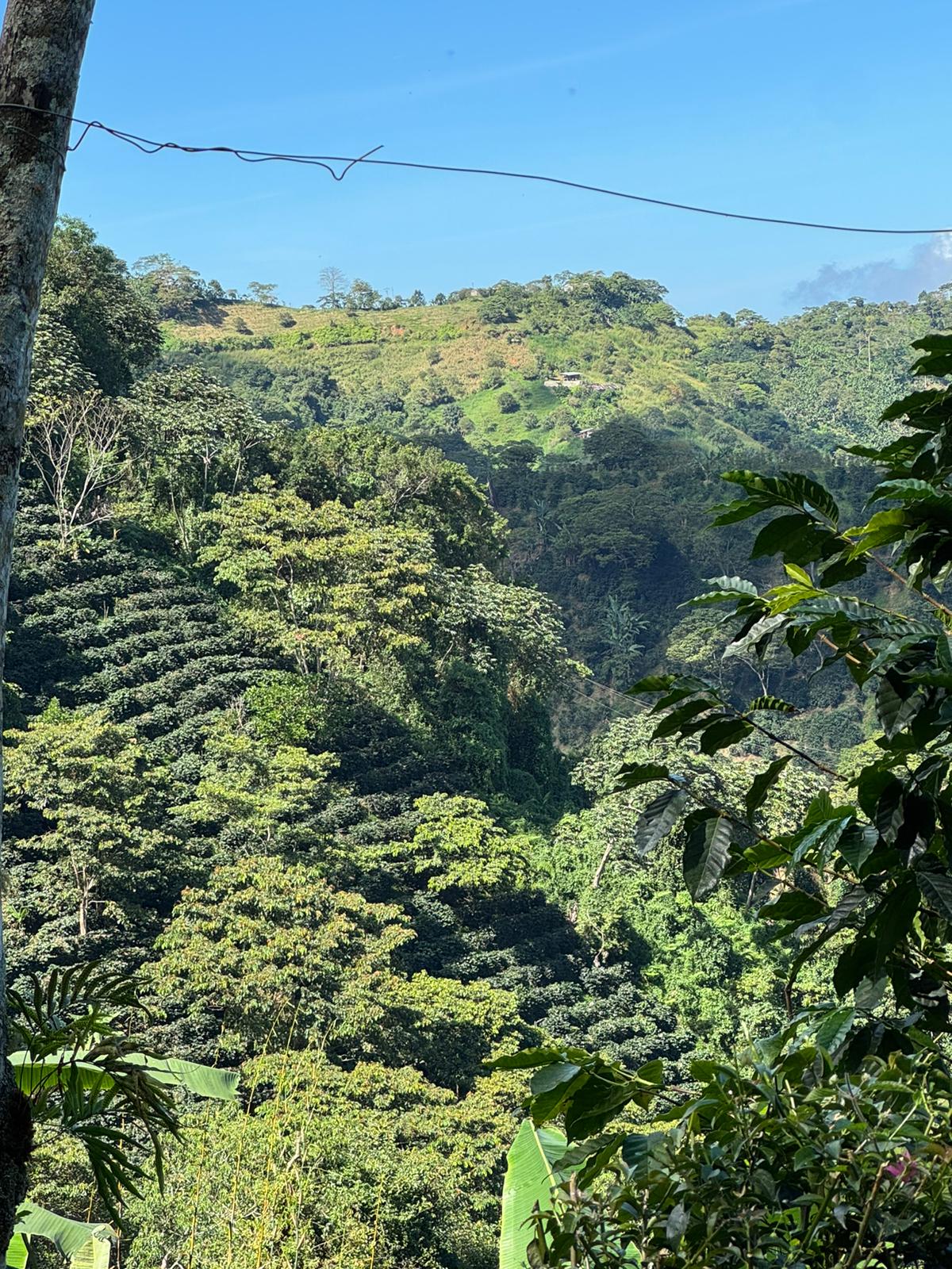 Kolumbijská krajina